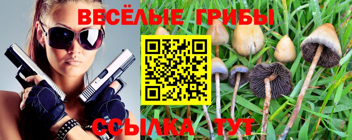 Псилоцибиновые грибы Magic Shrooms Дзержинский