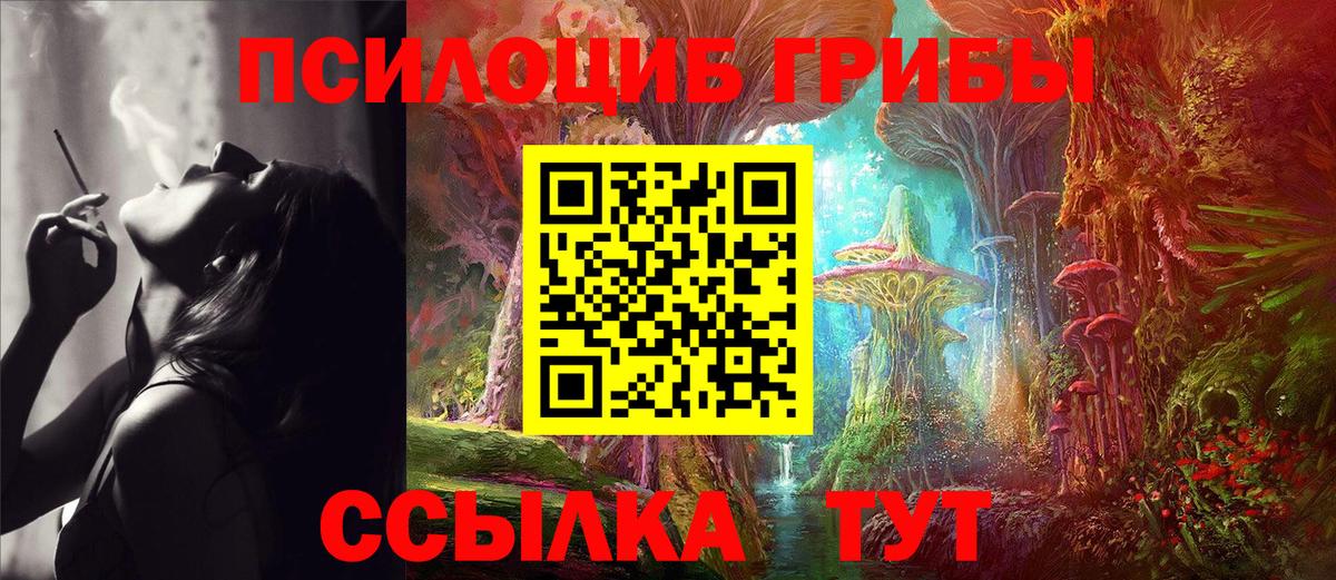 Дзержинский  Псилоцибиновые грибы мухоморы  Вход с VPN 